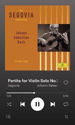 Screenshot_20210404-121933_Spotify