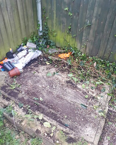 IMG_20200411_165739_893