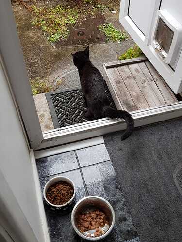 IMG-20190730-WA0000