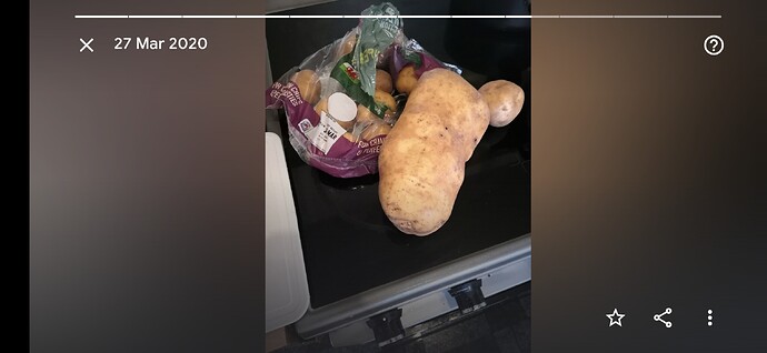 Screenshot_20210327_190347_com.google.android.apps.photos