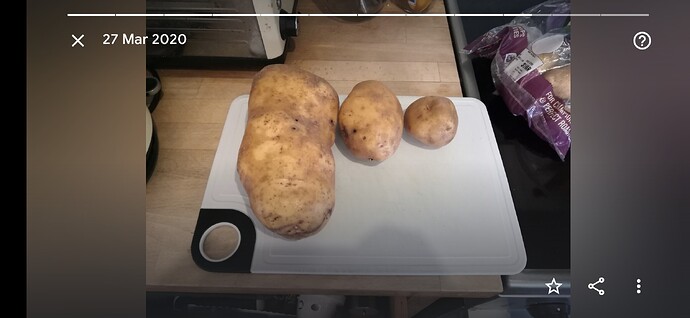 Screenshot_20210327_190351_com.google.android.apps.photos