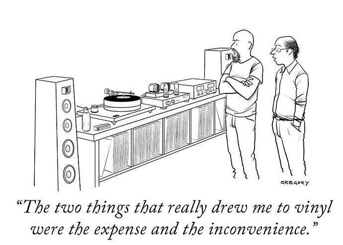 Vinyl Expense