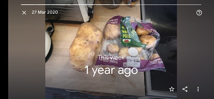 Screenshot_20210327_190342_com.google.android.apps.photos