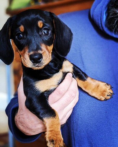 92827515_10159600674364838_8681789193543745536_o