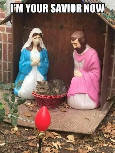 131055187_2943443952582237_5548865407316166556_n