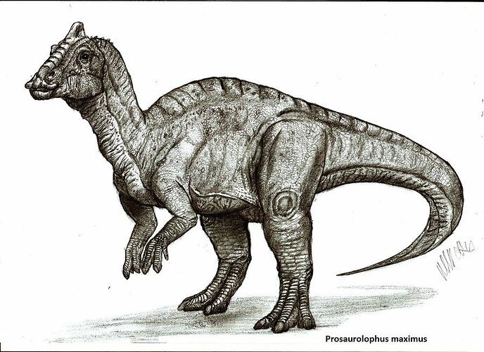 ec3ac5c67e5cdf801f9c4998ad4473c7