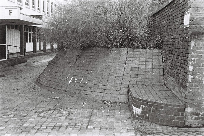 College banks corner