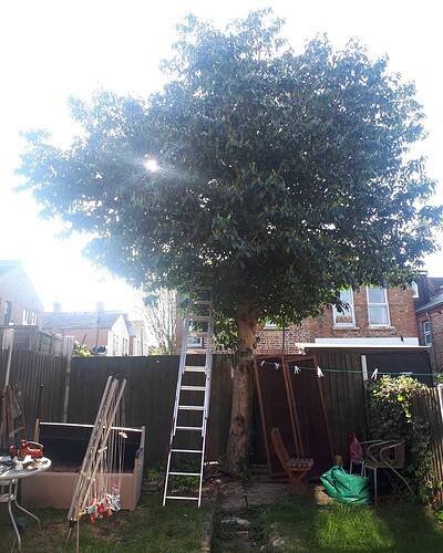 IMG_20200410_182408_926