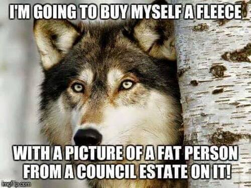 10320610_1083715301645307_3475115933420807871_n