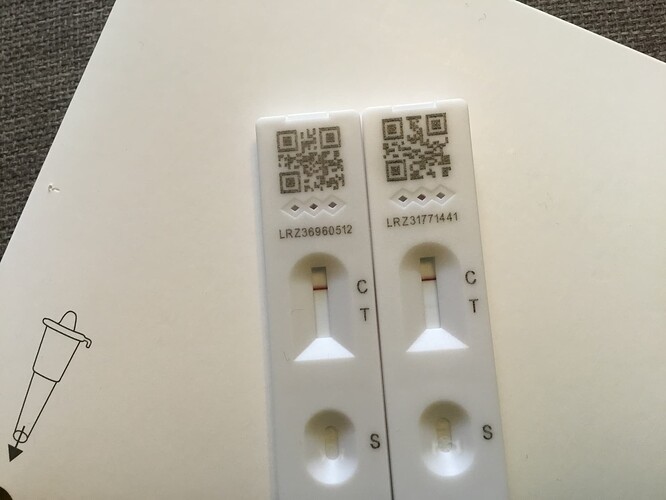 243361242_3677935525765872_6323159249353226884_n
