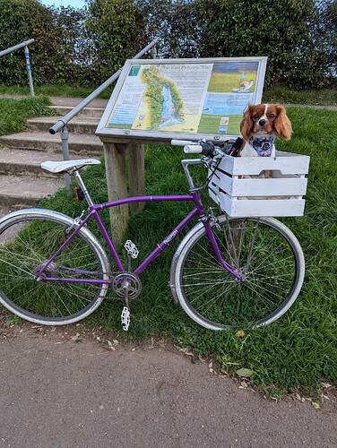 bec9de5a-a4c1-43f0-be54-9da822ed1e09-1_all_60200