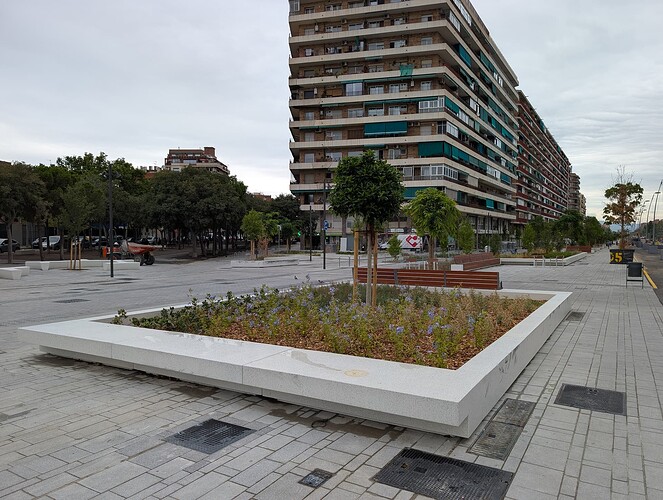 PXL_20250724_113908396.MP