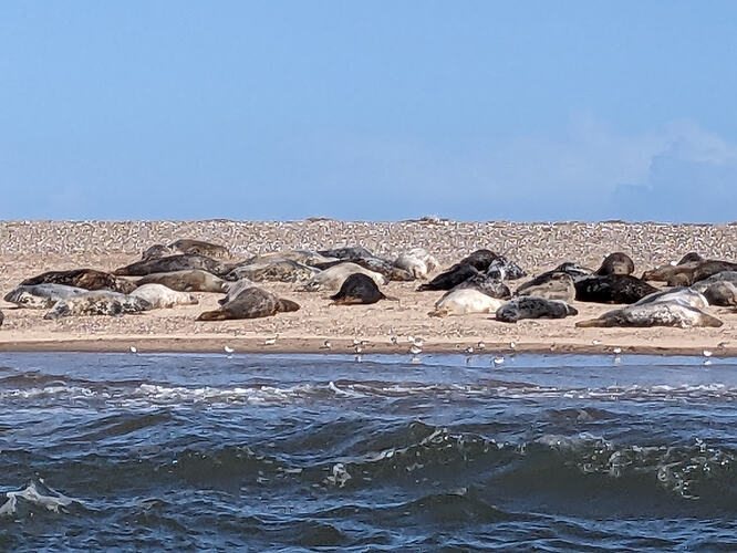 PXL_20260314_135239102