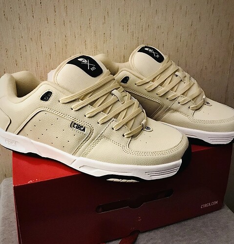 17384357946031454597953888784842