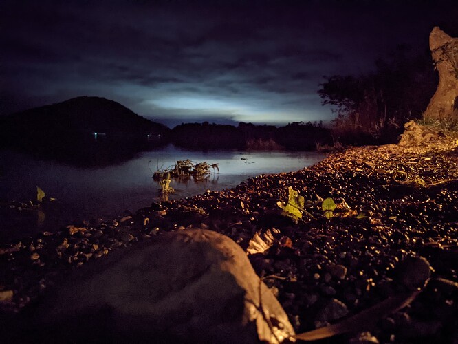 PXL_20211009_193729438.NIGHT