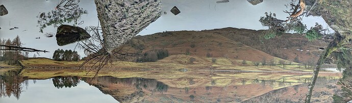 PXL_20211220_094722860-PANO