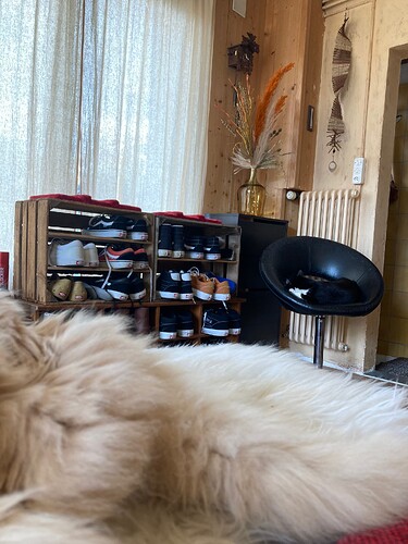 Photo 19.04.25 15 27 32