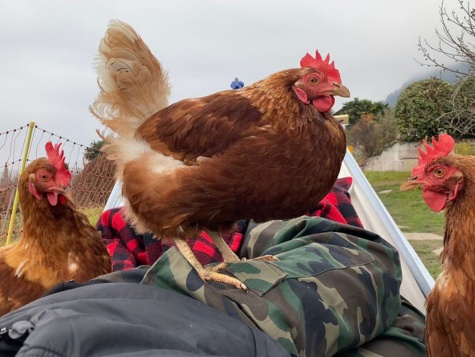 Photo 21.12.25 13 28 40