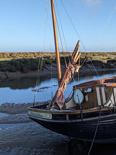 PXL_20260314_073420357.PORTRAIT