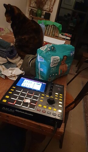 Screenshot_20250416_213312_WhatsApp~2