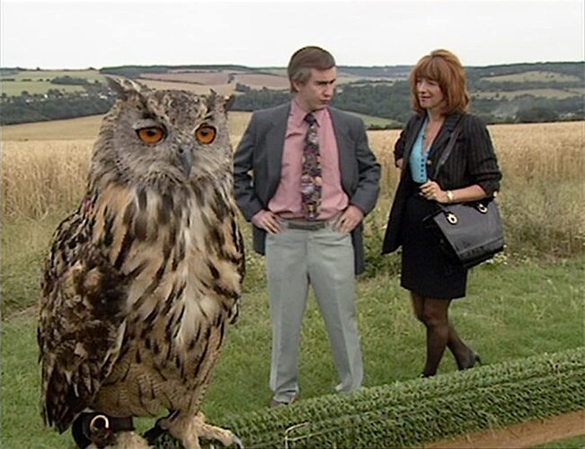 MV5BYTEzODI3MWMtNGM5OS00YTJmLThmZDgtNzcwMTgwN2VjYTNkXkEyXkFqcGdeQXVyMTgyMzEyNDY@.V1_FMjpg_UX1000