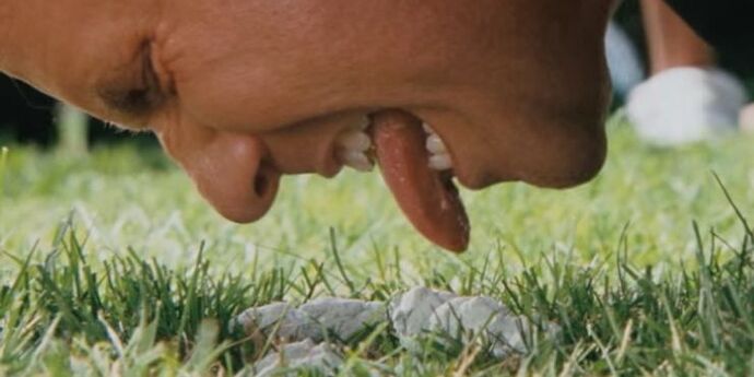 Brennan-licking-white-dog-poop-in-Step-Brothers