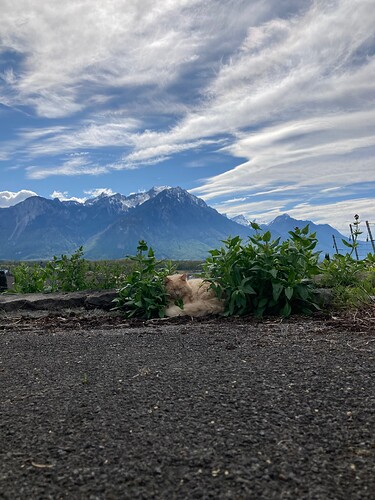 Photo 19.04.25 16 12 27