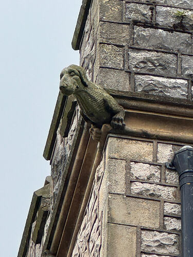 IMG_8940