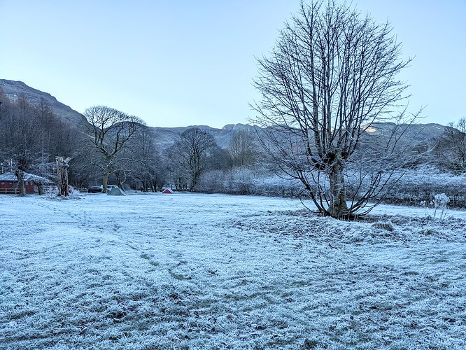 PXL_20211219_141130461