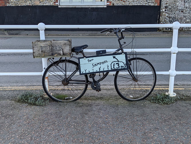 PXL_20260314_073405572.PORTRAIT.ORIGINAL