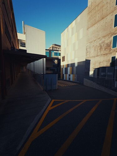 60AF2403-5286-4FED-8077-2F8B8A103713_1_102_o