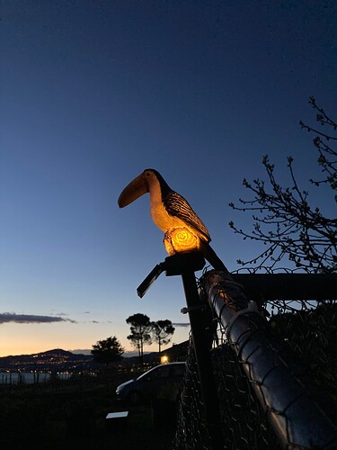 Photo 19.04.25 21 01 43