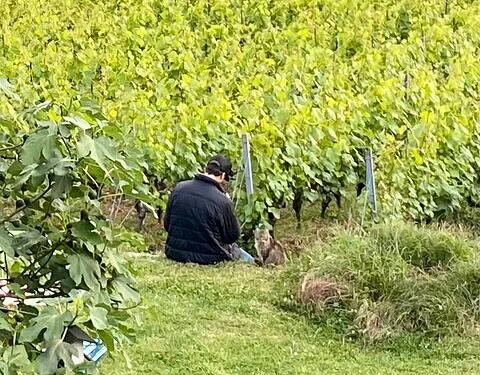 Photo 01.06.22 20 48 00