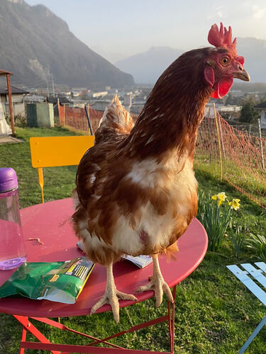 Photo 07.03.26 17 23 41