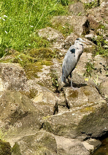 IMG_3004