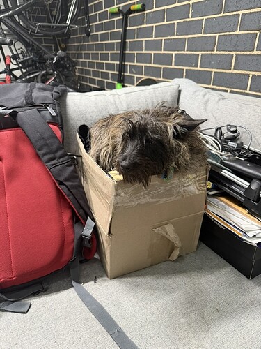 23D226EF-BA87-469B-9AFE-8063E087F1BA_1_105_c