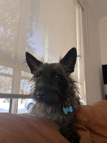 15E9B0C3-E65E-482B-A65B-ED8A73D73BFE_1_105_c