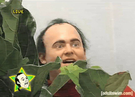 giphy%20(1)